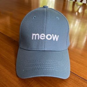 Blue Baseball Cap